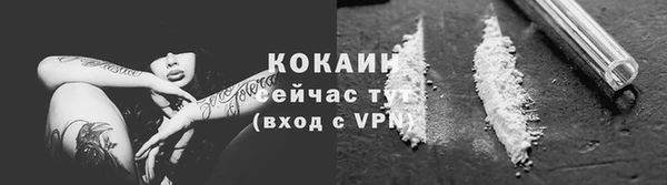 крисы Белоозёрский