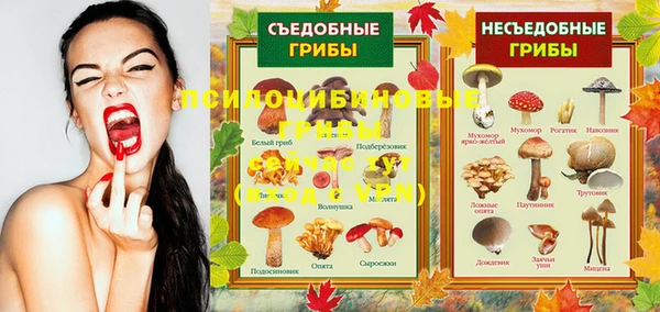 амф Белокуриха
