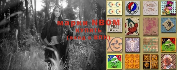 крисы Белоозёрский