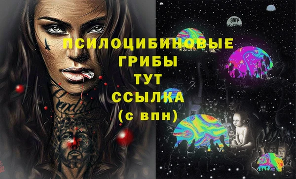 крисы Белоозёрский