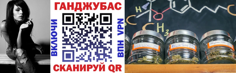 Бошки марихуана тримм  Купить закладки  Магас 